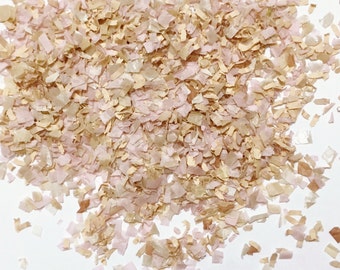 Soft Blush Peach Champagne Biodegradable Confetti Baby Girl Shower Wedding Shower Decoration Throwing Send Off InsideMyNest (25 Guests)