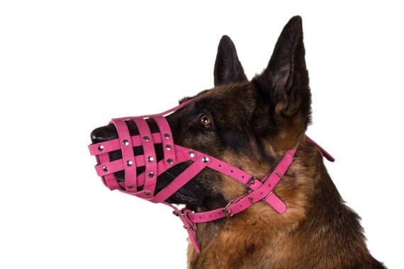 Pink Dog Muzzle
 Pink German Shepherd Dog Muzzle Secure Leather by CollarDirect