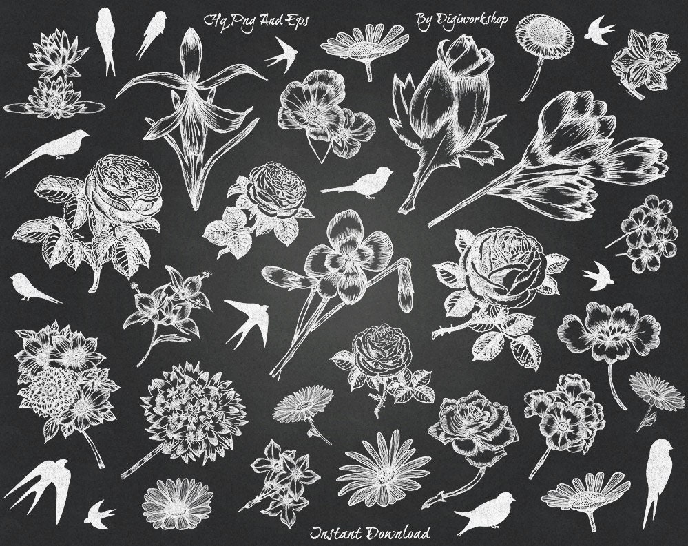 Chalkboard Flower Clip Art Clipart: Chalkboard