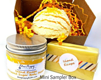 Mini Bath Set, Mini Gift Set, Bath & Body Soap Gift, Soap Scrub Bath Truffle, Gift for Her, Bridesmaid Gift, Sample Box, Spa Kit, Mom Gift