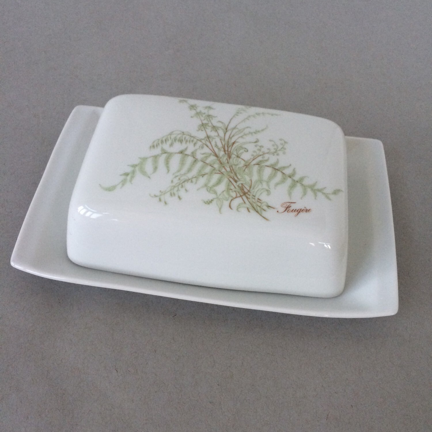 Vintage Villeroy and Boch Butter Dish Summer Fern