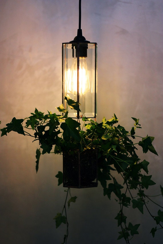 Pendant Light Planter by on Etsy