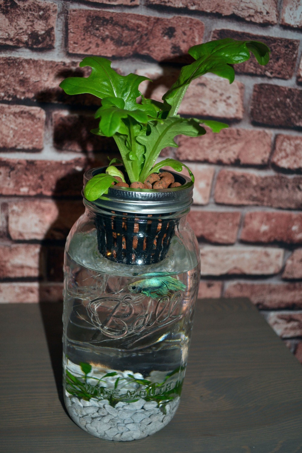 77 MASON JAR FISH TANK GARDEN