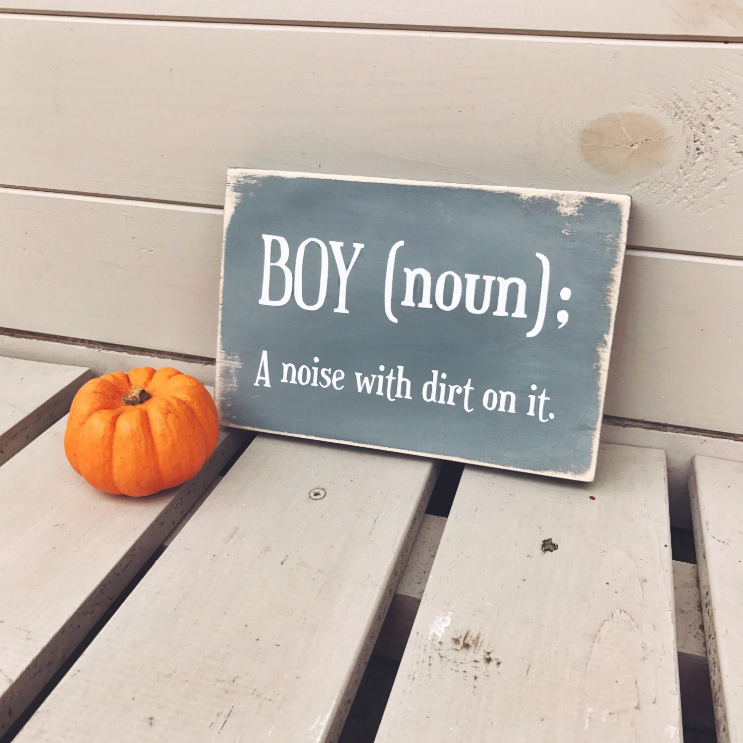 BOY noun A noise with dirt on. Wooden Sign