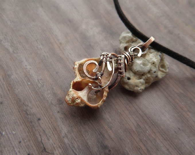 Seashell pendant, Wire wrapped, Copper Wire winding, Fantasy style, Natural material, unique conch jewelry, ocean gift, mermaid necklace