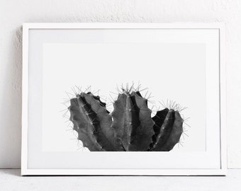 Botanical Print, Black and White Cactus Art, Photo Print INSTANT DOWNLOAD Photography Print, Large Wall Art Print, Horizontal Wall Art 24x36