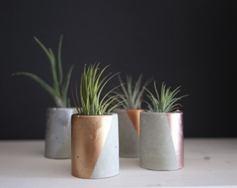 Concrete Planter. "Mini" Concrete Succulent Planter. Mini Planter. Concrete and Gold. Concrete and Rose Gold. Concrete & Copper.