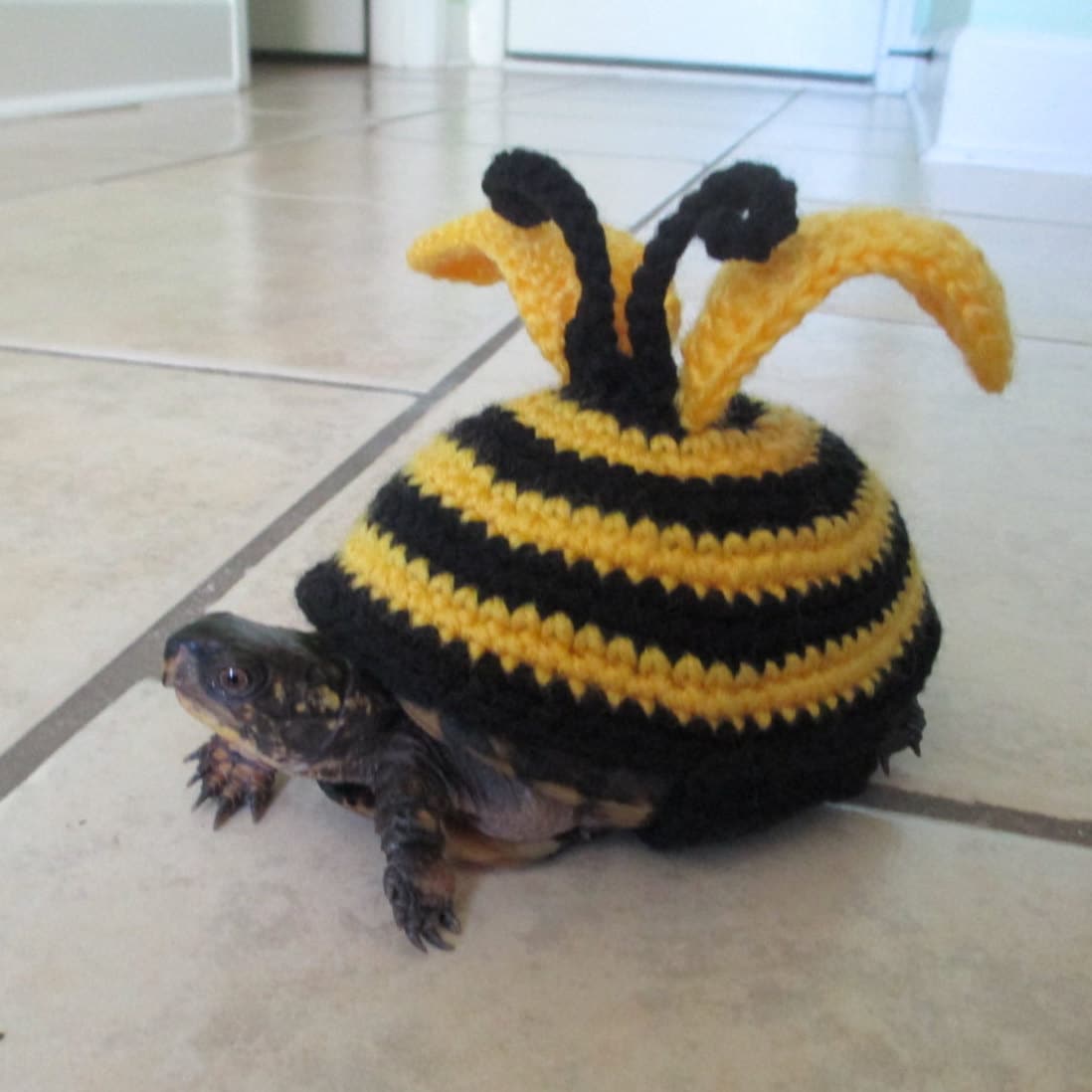 Bee Turtle costume Crochet Pet turtle costume Tortoise outfit