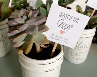 25- Watch Me Grow Succulent Favor Tags, Wedding Favor tags