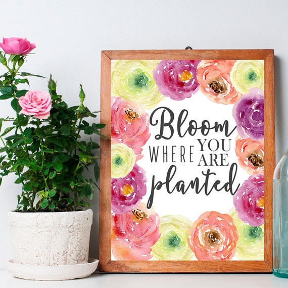 Bloom Where You are Planted Printable Wall Art Home Signs