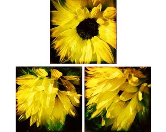 Sunflower Wall Art sunflower wall art | etsy Sunflower Wall Art sunflower wall art | etsy