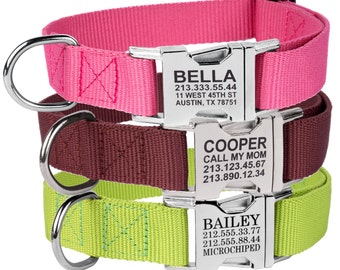 Engraved Buckle Dog Collar Personalized Custom Pink Blue Red Brown