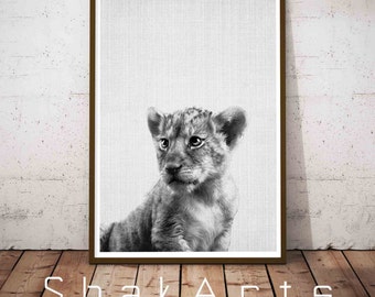 Baby Lion Print, Safari Baby Shower, Baby Animal Prints, Black and white Lion Photo, Child room Decor, Dorm Decorations, Printable Nursery