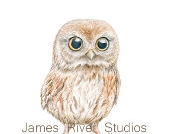 Owl Art Owl Painting Owl Print Baby Owl Watercolor Baby Bird Painting Baby Owl Nursery Art Children Art Forest Animal Woodland Creature Art