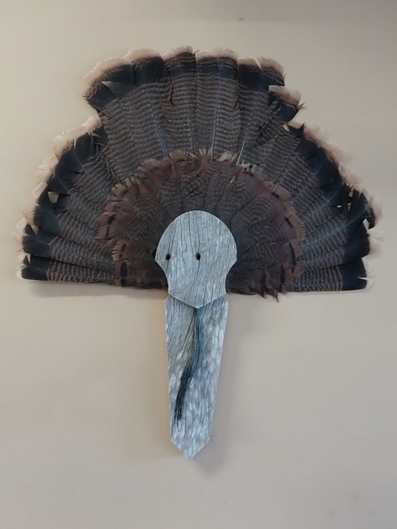 Turkey fan and beard mount display plaque reclaimed barnwood