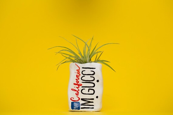 IMGUCCI / LICENSE PLATE planter
