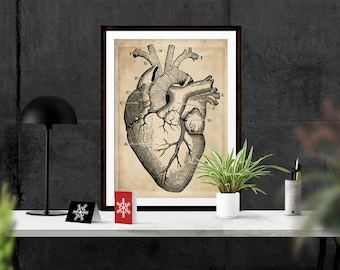 Cardiology Office Art, Anatomical Heart Print, Vintage Medical Illustration, Heart Poster, Instant download, Cardiologist Cardiac Clinic Art