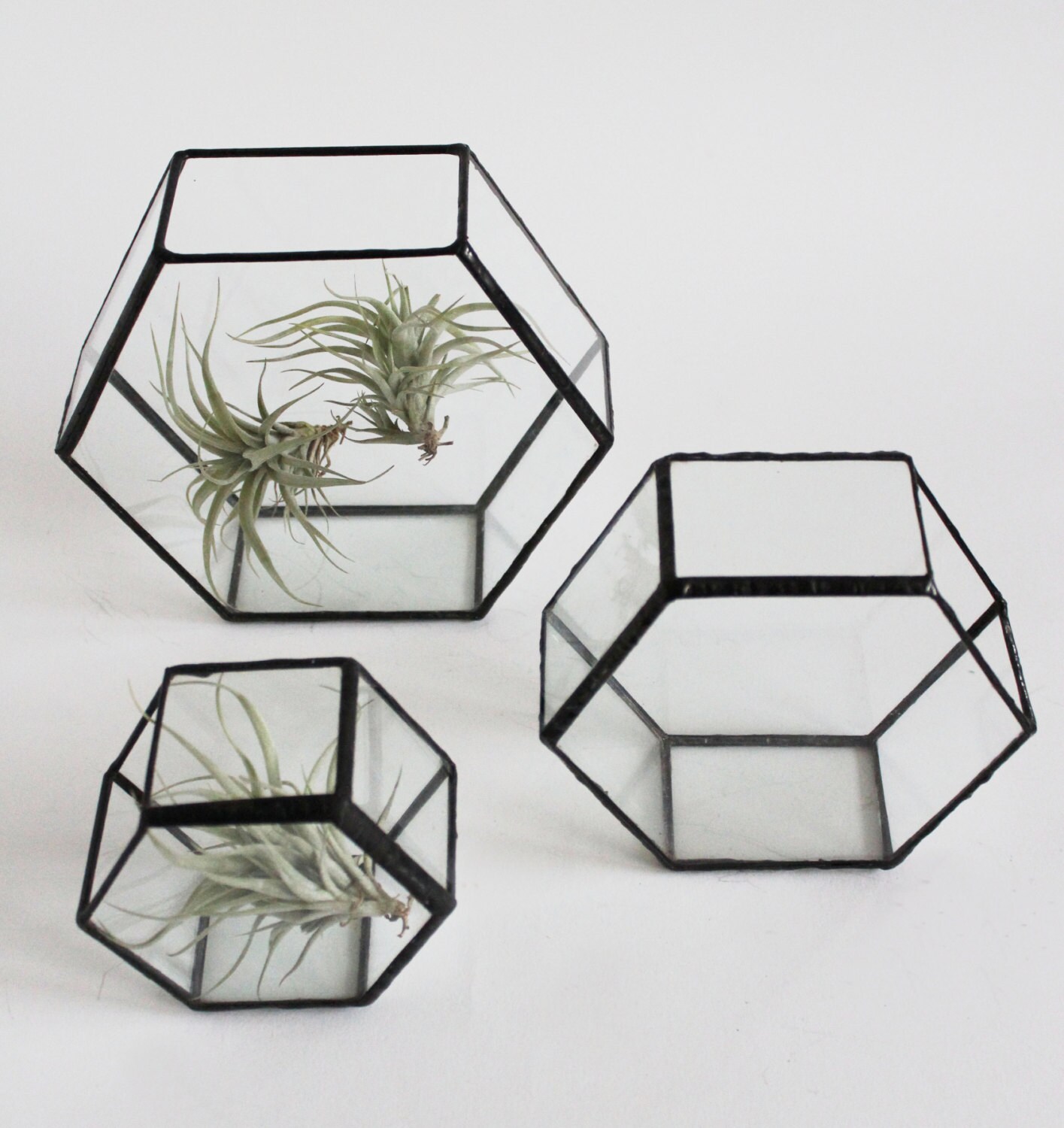 Varro Hexagon Glass Shelf Box