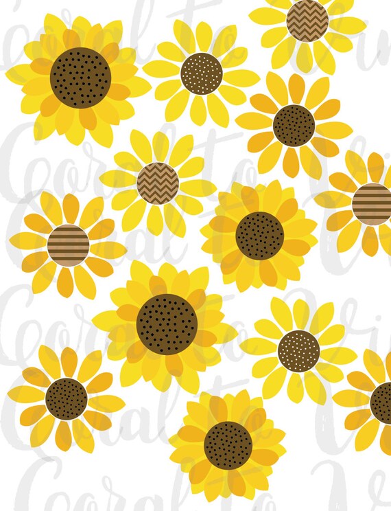 Download sunflower SVG fall floral SVG perennial sunflower bouquet