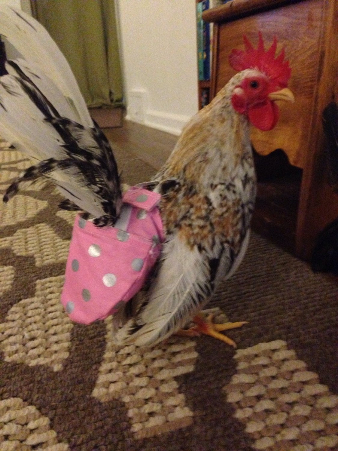Custom Chicken Diaper Rooster Diaper Hen Diaper Bantam