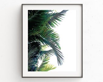 Palm Leaf | Palm Leaf Print | Digital Prints | Wall Art | Palm Print | Botanical Artwork | Palm Tree Print | Palm Tree Art | Poster