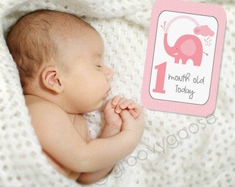 BABY MILESTONE CARDS- Showering Elephant Pink- Baby Keepsake- Baby Photo Cards- Baby shower gift