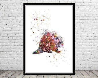 Porcupine, Porcupine print, watercolor Porcupine, Porcupine print, watercolor art print, animal print, home decor, animal art (1543b)