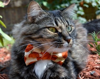 Fall cat bow tie collar, fall cat collar, pumpkin cat collar, cat bow tie, kitten collar, kitten bow tie, cat costume, Thanksgiving cat bow