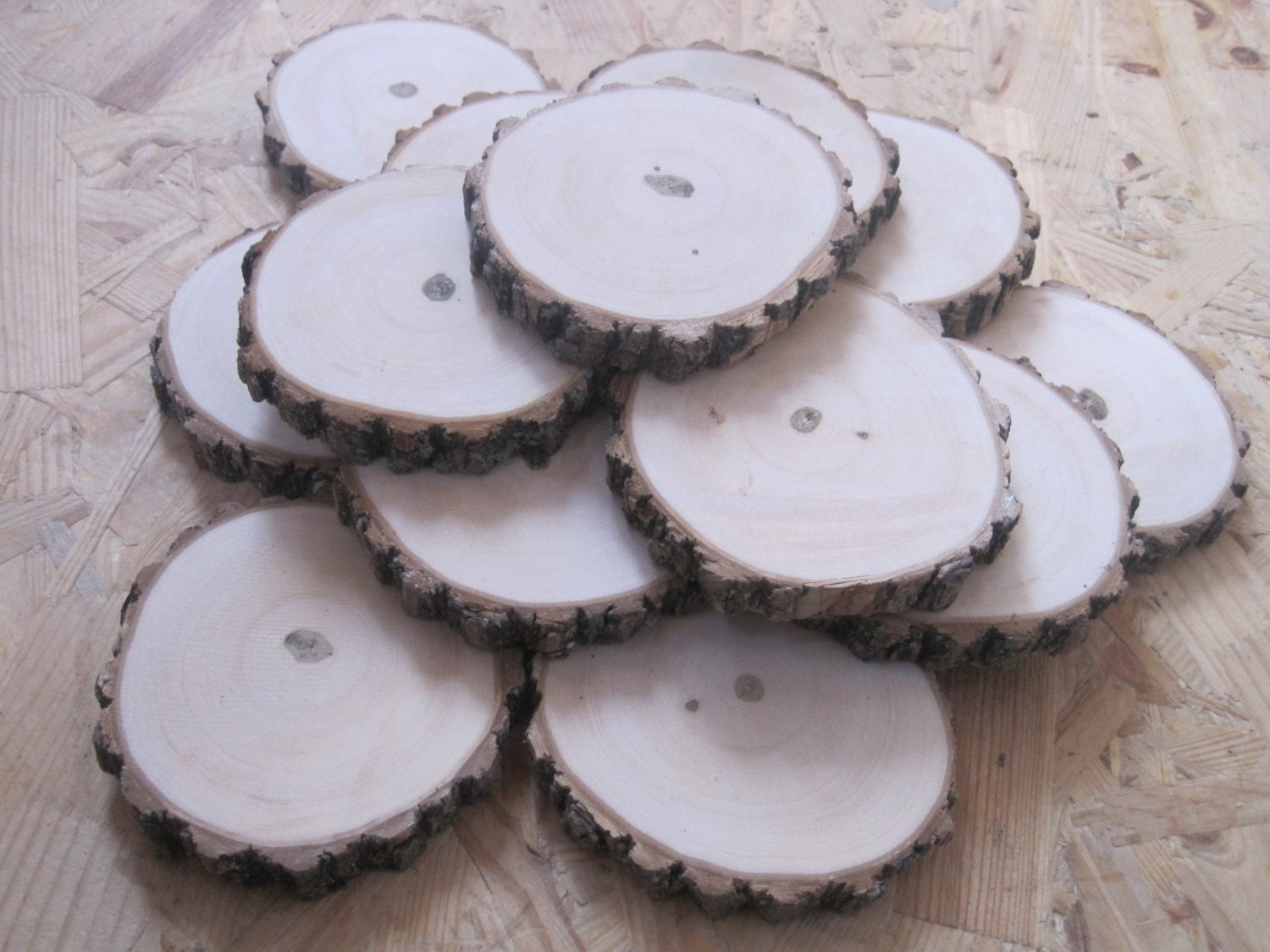 Set of 15 sanded wooden oak slices Tree Slice Wood oak