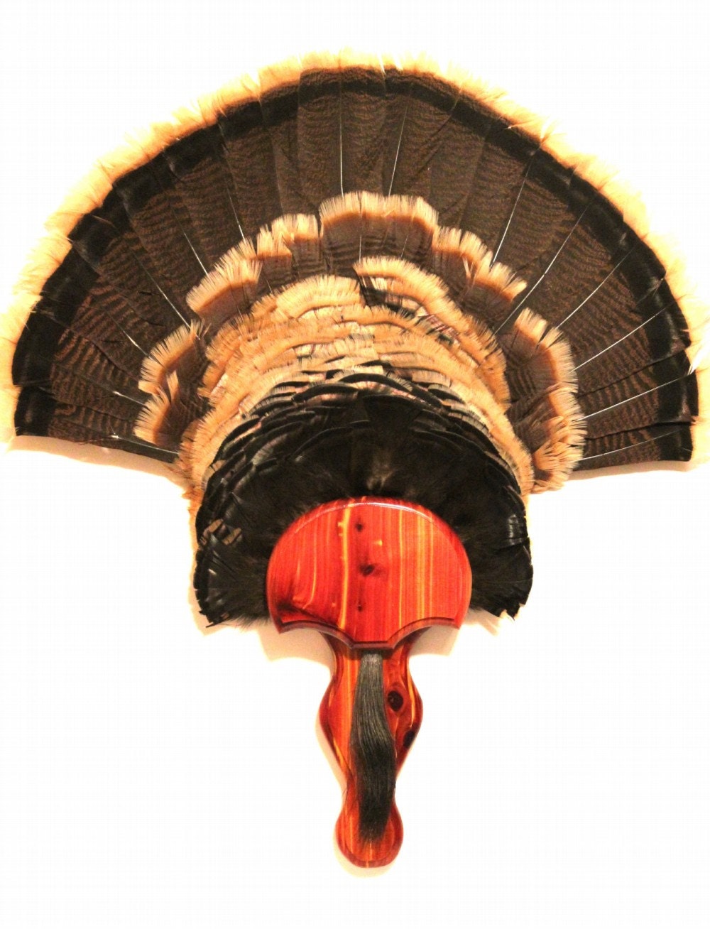 Turkey Fan & Beard Plaque The Gobbler Aromatic