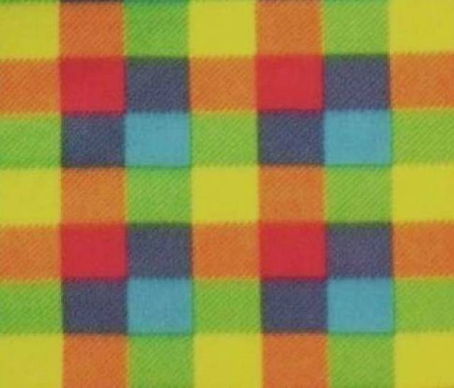 Fleece Fabric Checkers Colorful Style 573 60 by
