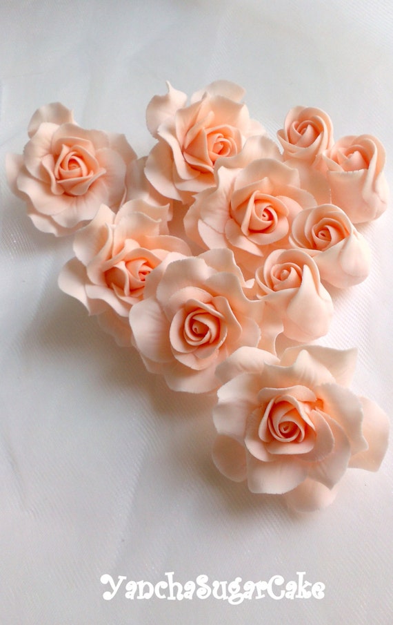 Edible sugar fondant gumpaste roses 12 flowers Peach color
