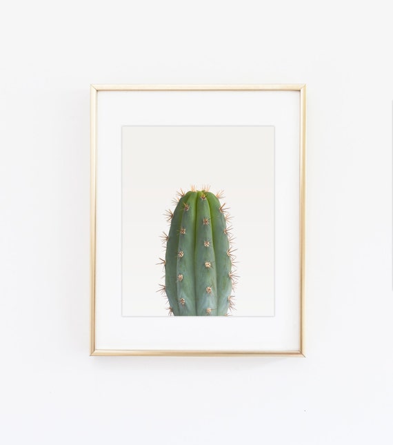 Cactus art print Cactus photo print Minimalist by kiwiNberries