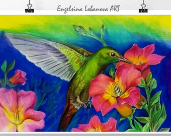 Pencils,Drawing,Realistic,colored pencil drawing techniques.Fashionable bird in bright colors - Hummingbird