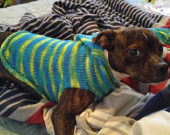 Homemade Medium knitted dog hoodie (model)