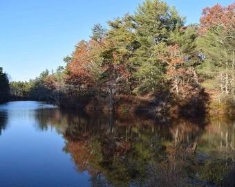 Autumn Peace in Cranberry County 8"x10" Print