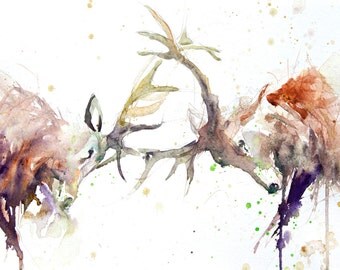 Items similar to Red Deer Stags - Mounted Limited Edition Print of an