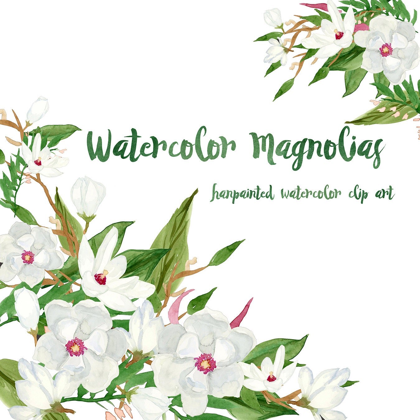 Download Floral Clip Art: Watercolor Magnolia Flowers Watercolor