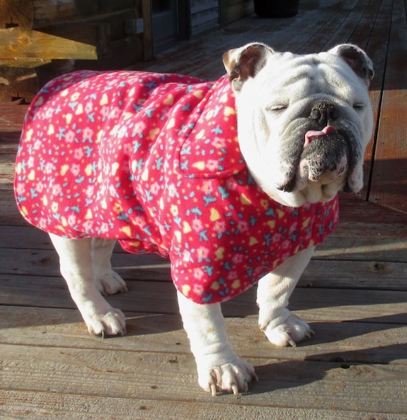English Bulldog Reversible Coat Polar Fleece Warm winter dog