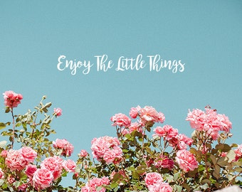 Pink Roses, Typography Print, Inspirational Quote, Pink Flower Photo, Spring Decor, Pink Decor,Flower Wall Decor,Inspiration,Blue,Minimalist