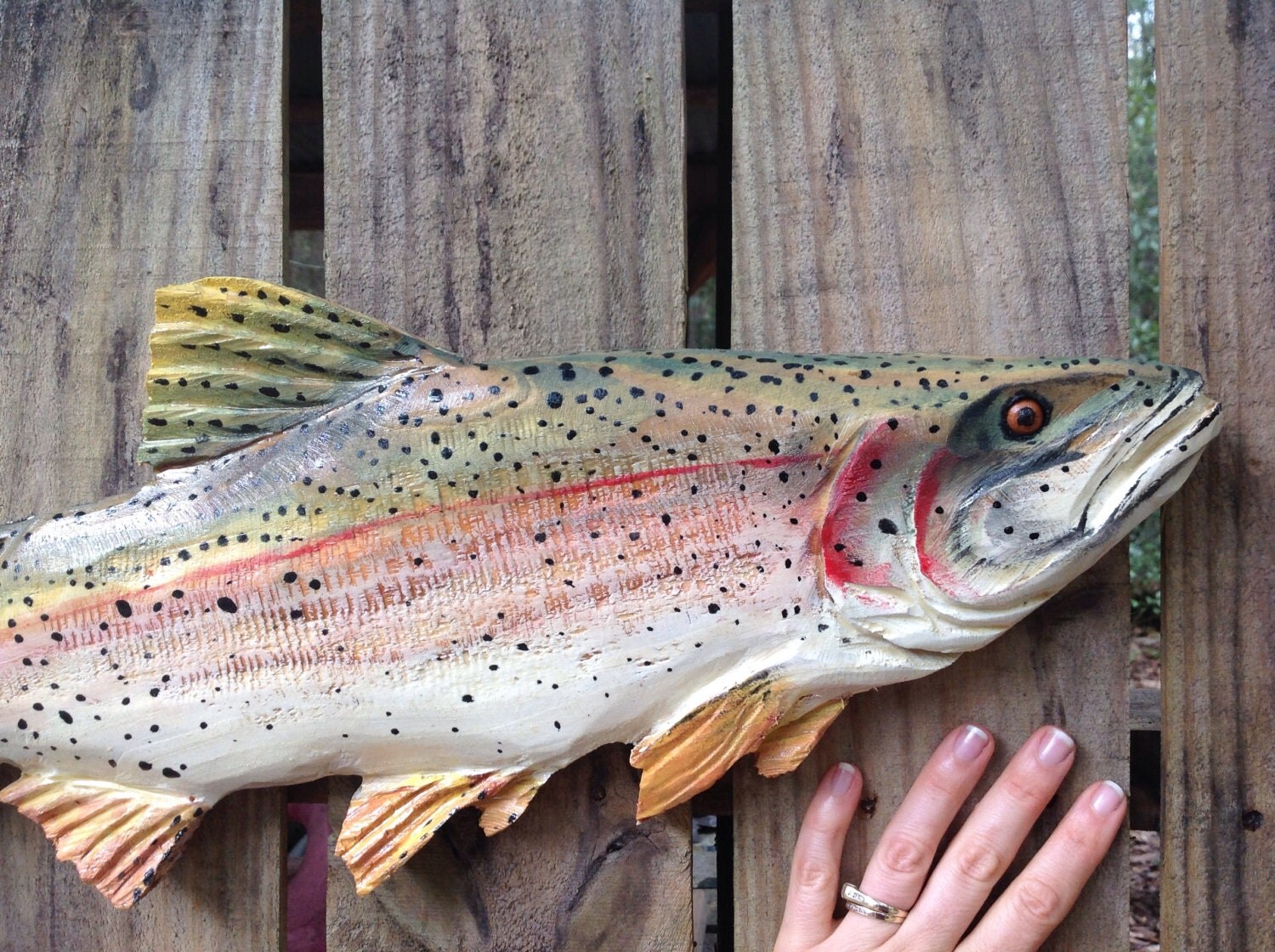 Rainbow Trout 20 fly fishing decor wall mount by oceanarts10