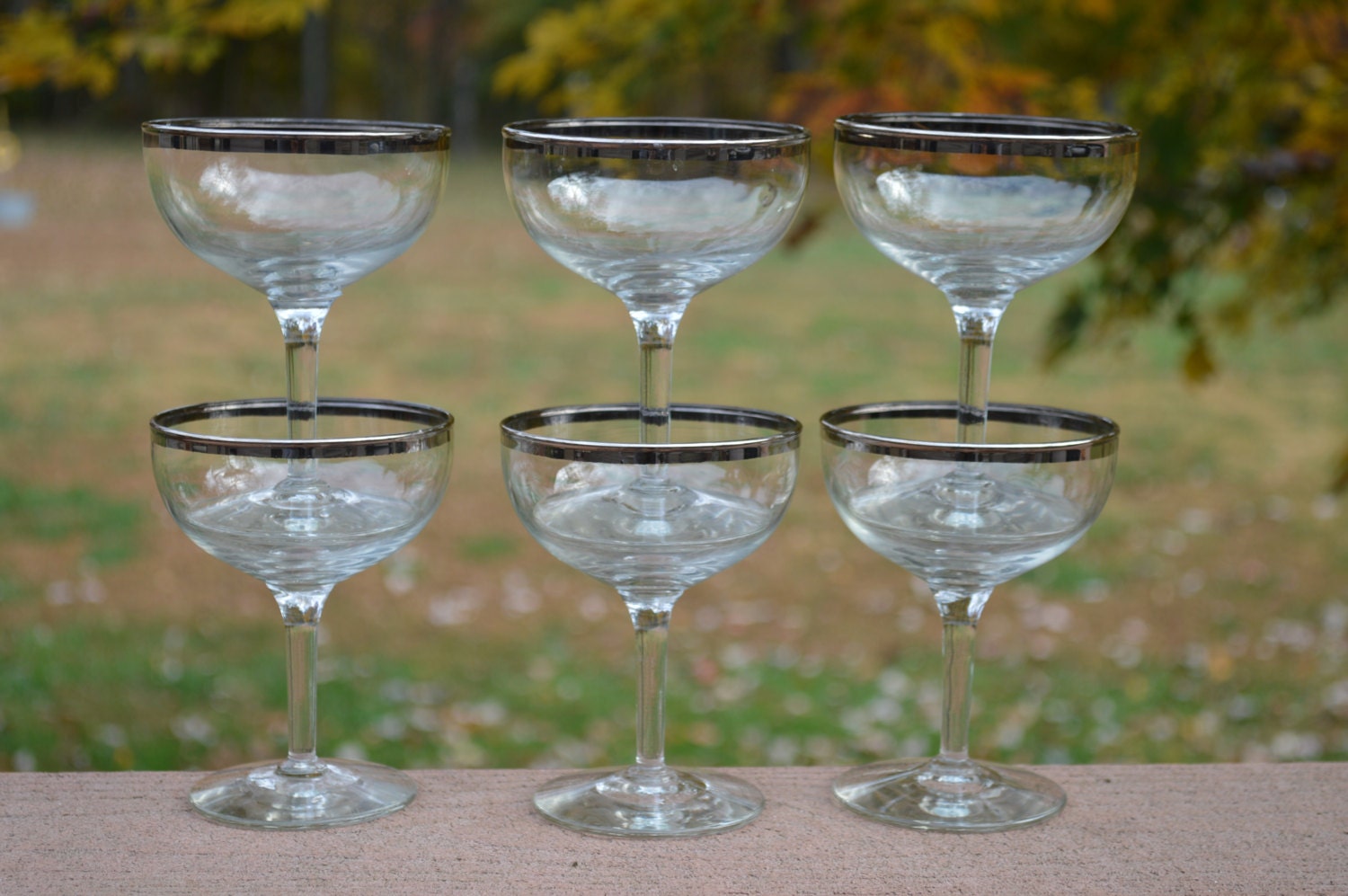 6 Silver Rimmed Champagne Glasses