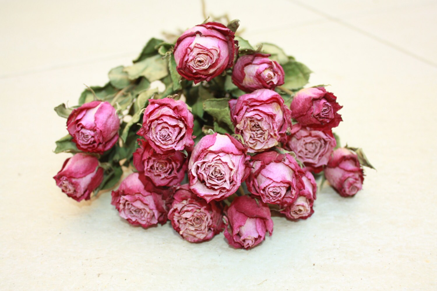 15 Natural Dry Roses Natural Color Roses for