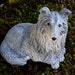 concrete sheltie dog statue