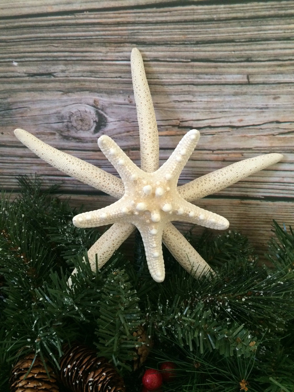 Starfish Tree Topper Christmas Tree Topper Double Starfish