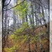 Himalaya Mountain Landscape Art Photography Wall Art Home