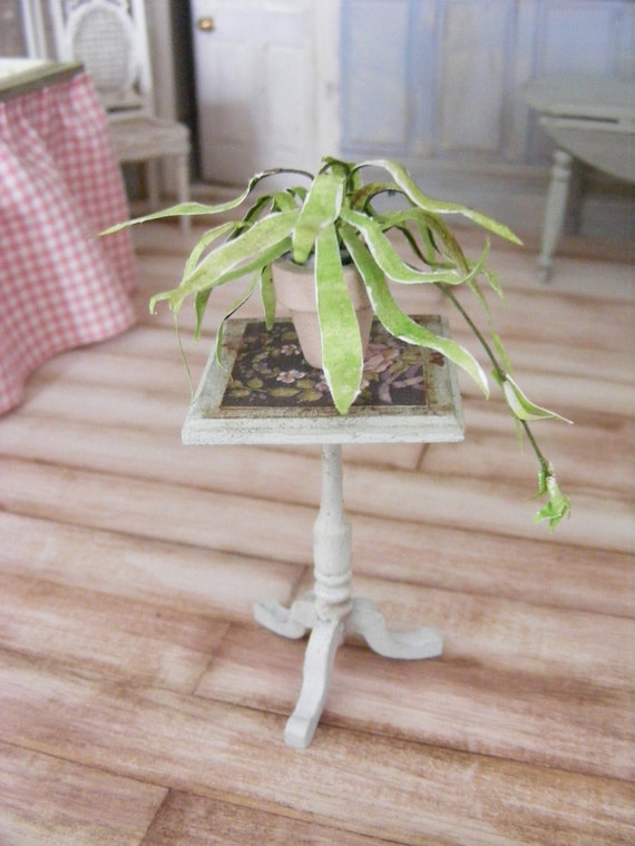 Spider plant on stand 50 discount