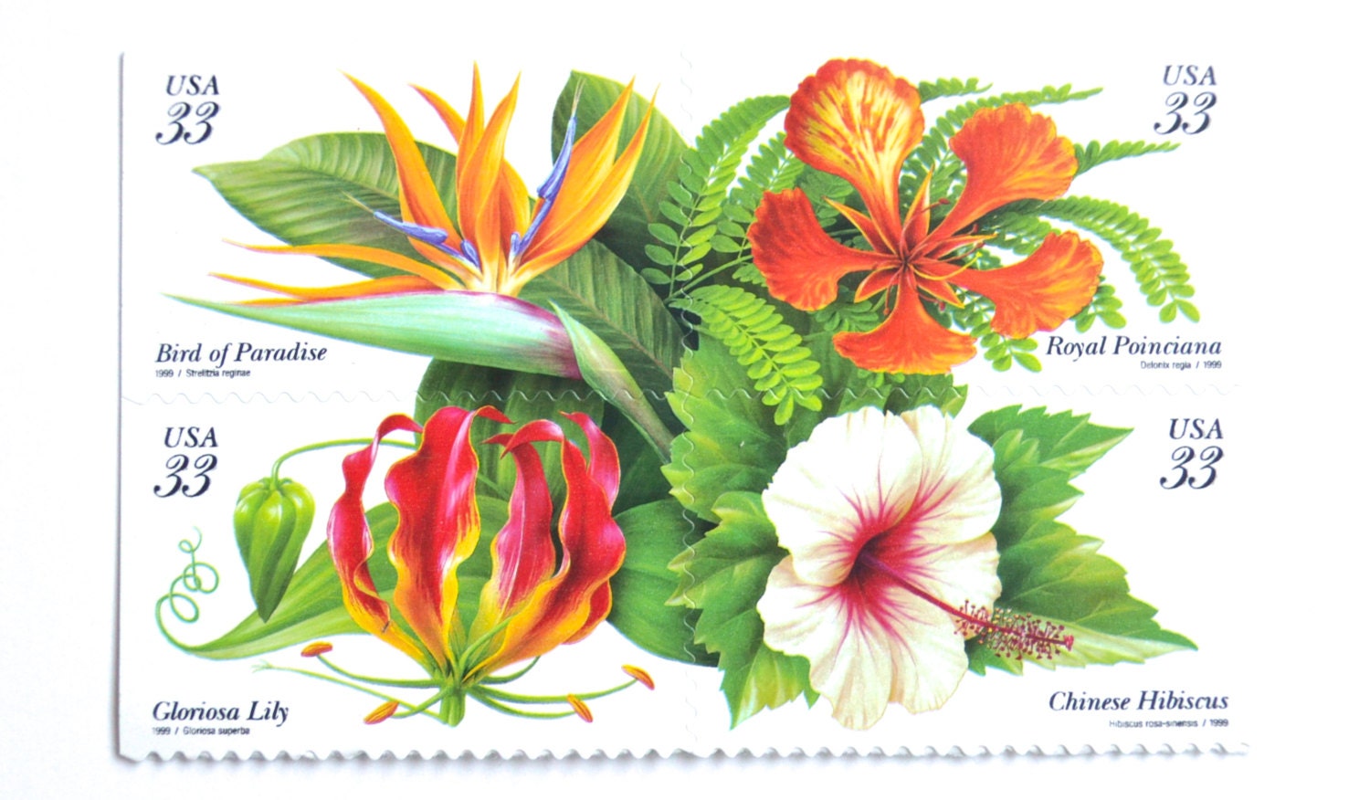 Unused Tropical Postage Stamps // Tropical Flowers // For