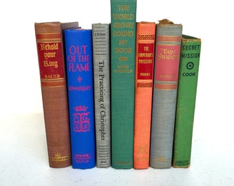 Vintage Set of Colorful Books, Decorate