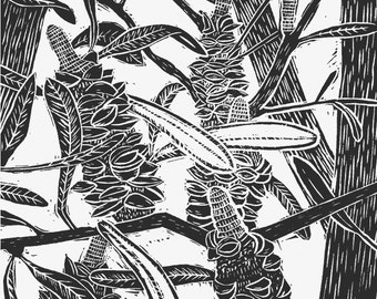 Banksia linocut print